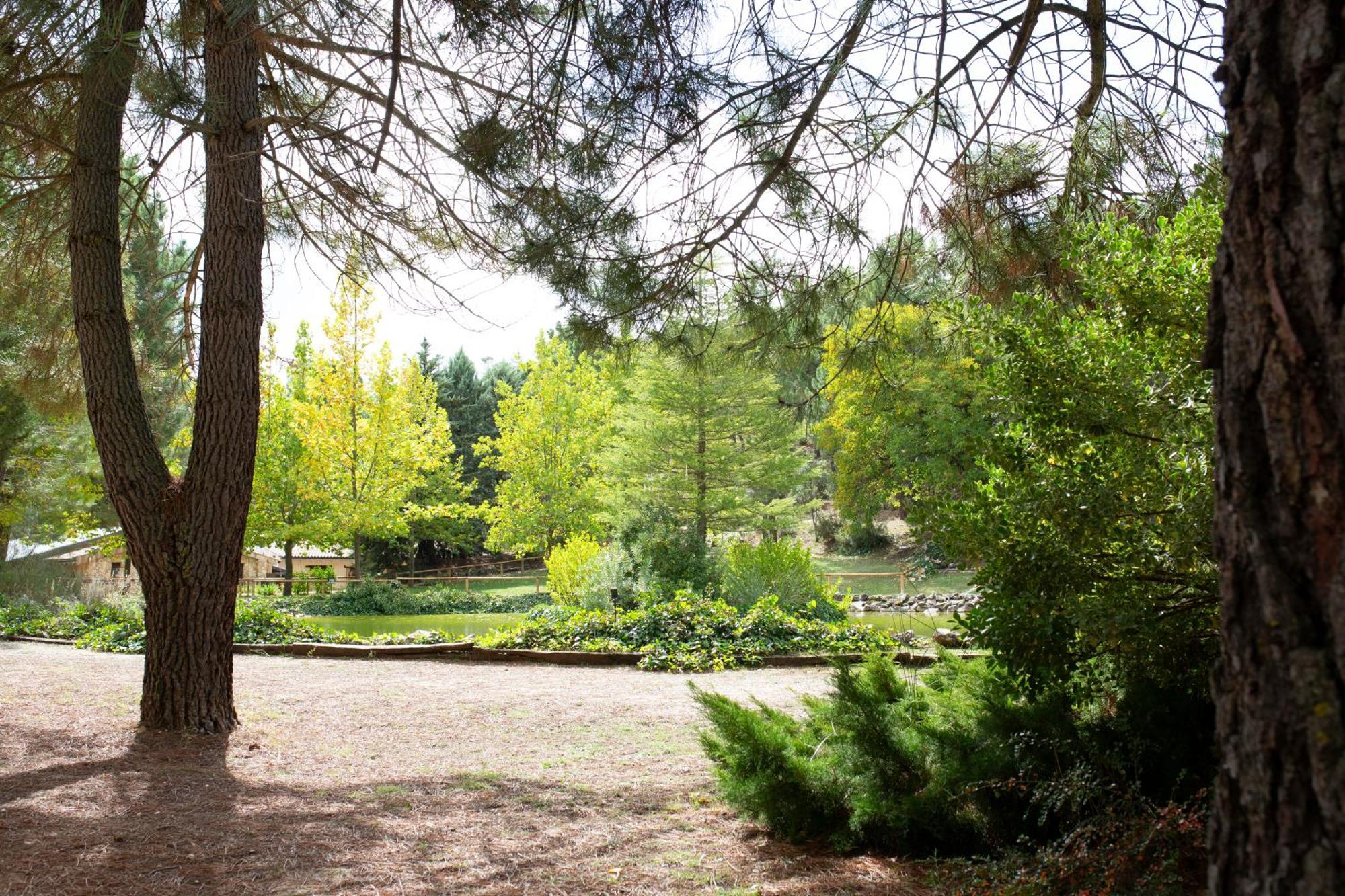 Casa Rural Riopar, Luxury In Nature Eksteriør billede
